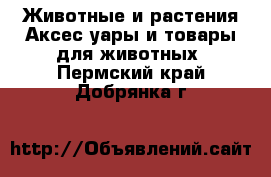 Животные и растения Аксесcуары и товары для животных. Пермский край,Добрянка г.